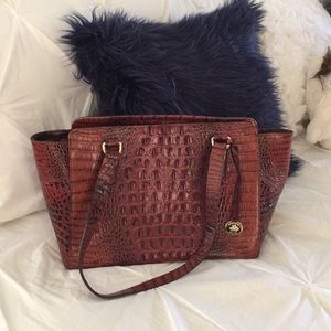 Brahmin Purse